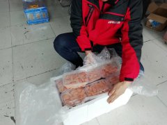 鮮活的貨物為了保證食品的品質(zhì),可以通過什么 鮮活的貨物為了保證食品的品質(zhì),可以通過什么