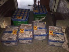 成都至北京獼猴桃的發運