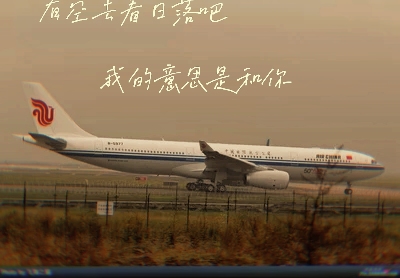 1)一般要求
裝在航空物流集裝箱內的貨物應碼放緊湊,間隙越小越好,裝在軟門航空物流集裝箱內的貨應注意避免貨物擠壓損壞箱門或使集裝箱變形。
如果航空物流集裝箱內沒有裝滿貨物,即所裝貨物的體積不超過集裝箱容積的三分之二,且單件貨物重量超過150千克時,應按規定對貨物進行捆綁,如圖2. 39所示。
2)集裝箱門的關閉
1、集 裝箱門是集裝箱不可缺少的一部分。 因此,航空物流集裝箱組裝完畢后必須將箱門關好。軟門集裝箱關門后必須保證箱內的貨物不能突出門簾或網套的垂直面。
2、裝有貴重物品的集裝箱或掛衣箱組裝完畢后,要按規定用鉛封將箱門封好。
3)馬匹的裝載要求
1、航空物流裝載馬匹時,應特別注意馬廄裝機后馬匹在飛機上的站位方向,一般要求馬頭朝前或朝后。如果托運人、收貨人或押運員另有要求的,按要求裝載。
2、必要時, 應設置限制馬匹活動的籠頭、韁繩,保護馬腿的護膝、腳套等設施,并且牢固系留在規定的位置上。
3、限制馬匹的胸繩或擋板必須牢固,位于馬匹的前胸部位(脖子與肩膀的下部)
且不能傷害馬的身體。
4、馬廄的地板必須保持足夠的防滑性能,保證馬匹在飛機飛行過程中不會因飛機升降、轉彎等因素造成身體失衡,滑倒摔傷。